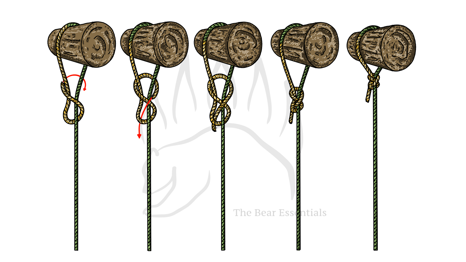 How to Tie the Slipped Figure-Eight Knot – The Bear Essentials