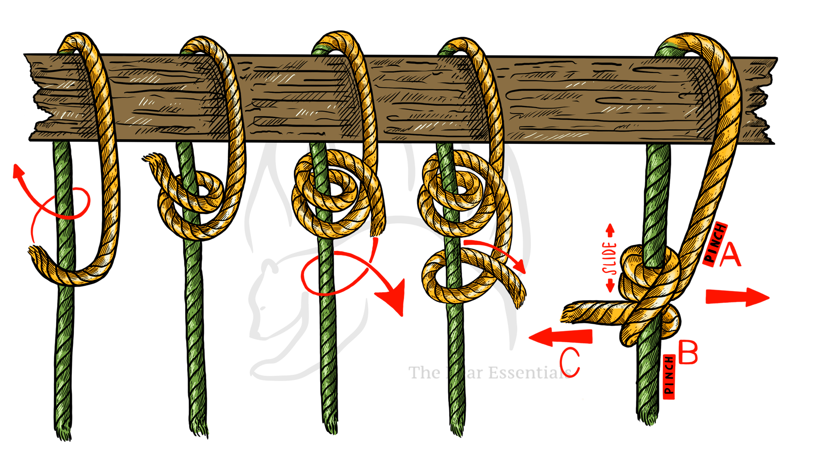 How To Tie The Taut Line Hitch – The Bear Essentials Outdoors Co.