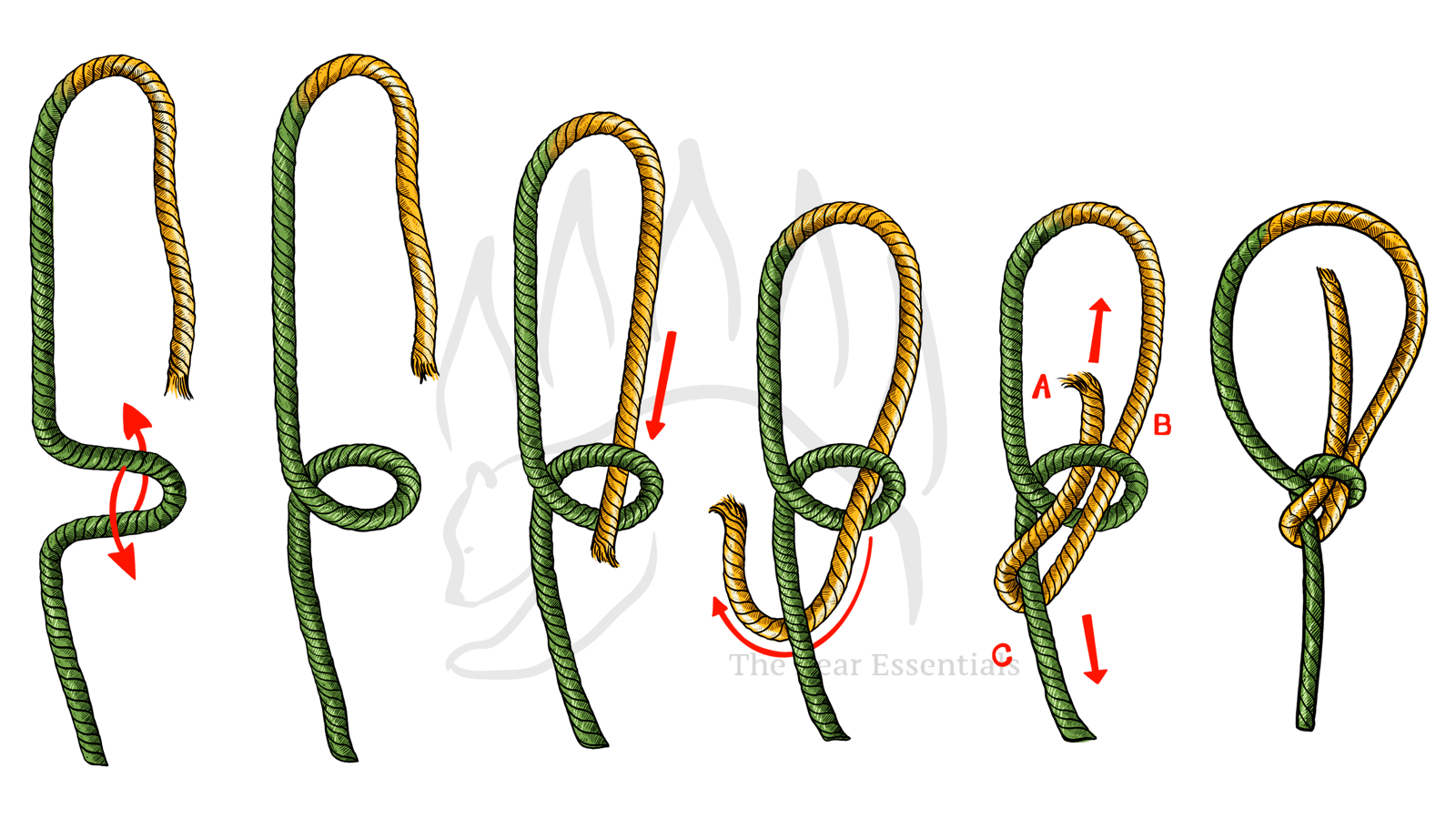 Types of Knots: 25+ Essential Knots Everyone Should Learn, image size:1600x900