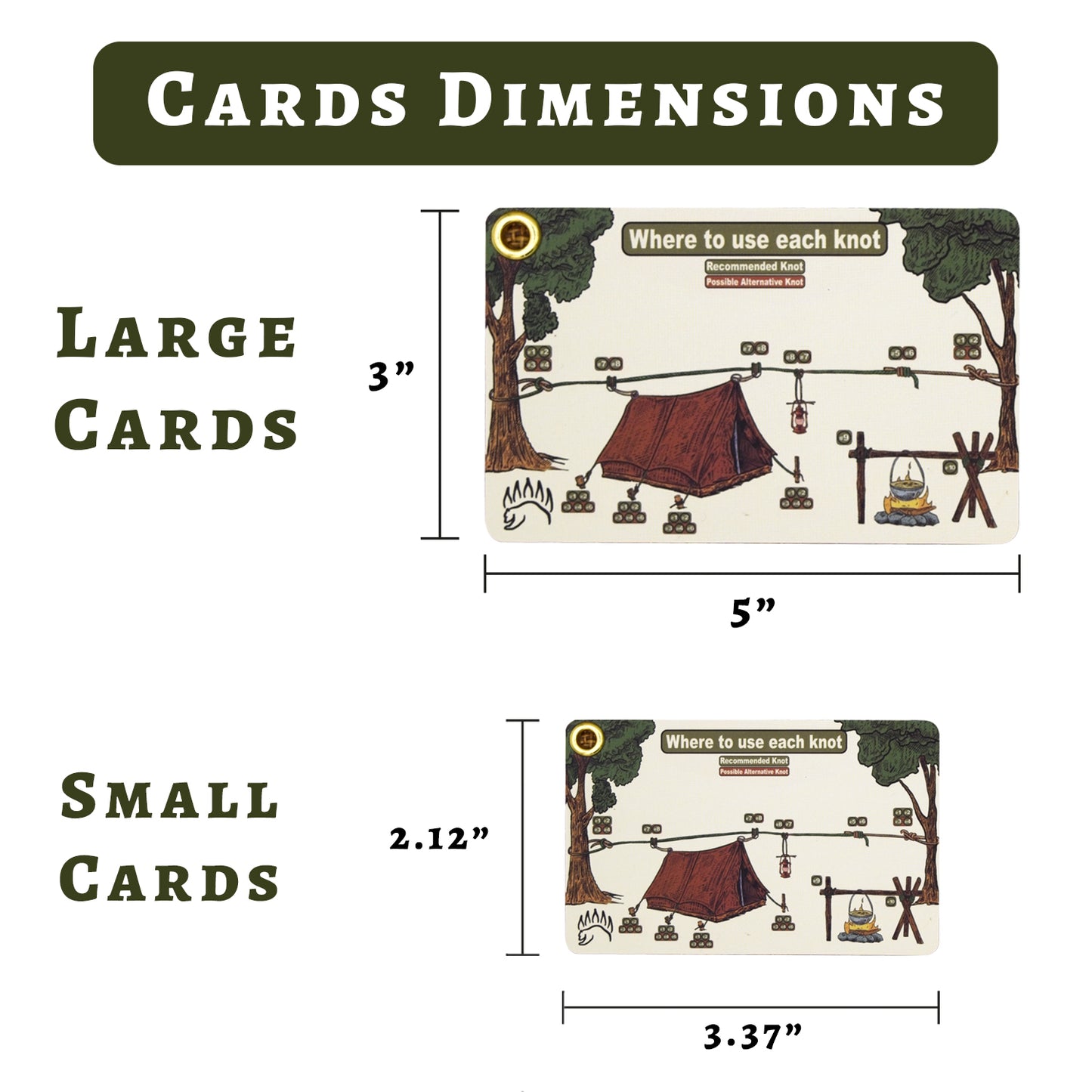 Size comparison of The Bear Essentials Knot Tying Kit cards showing dimensions of large and small waterproof knot tying cards for outdoor use.
