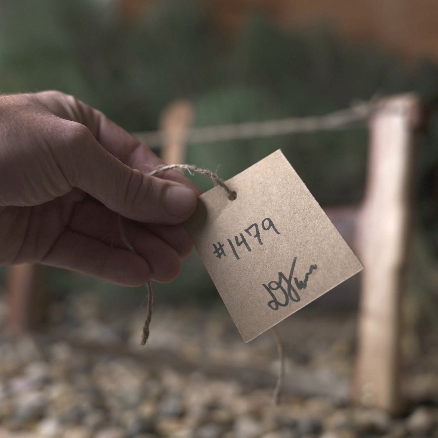 Bucksaw # 1479 - SOLD