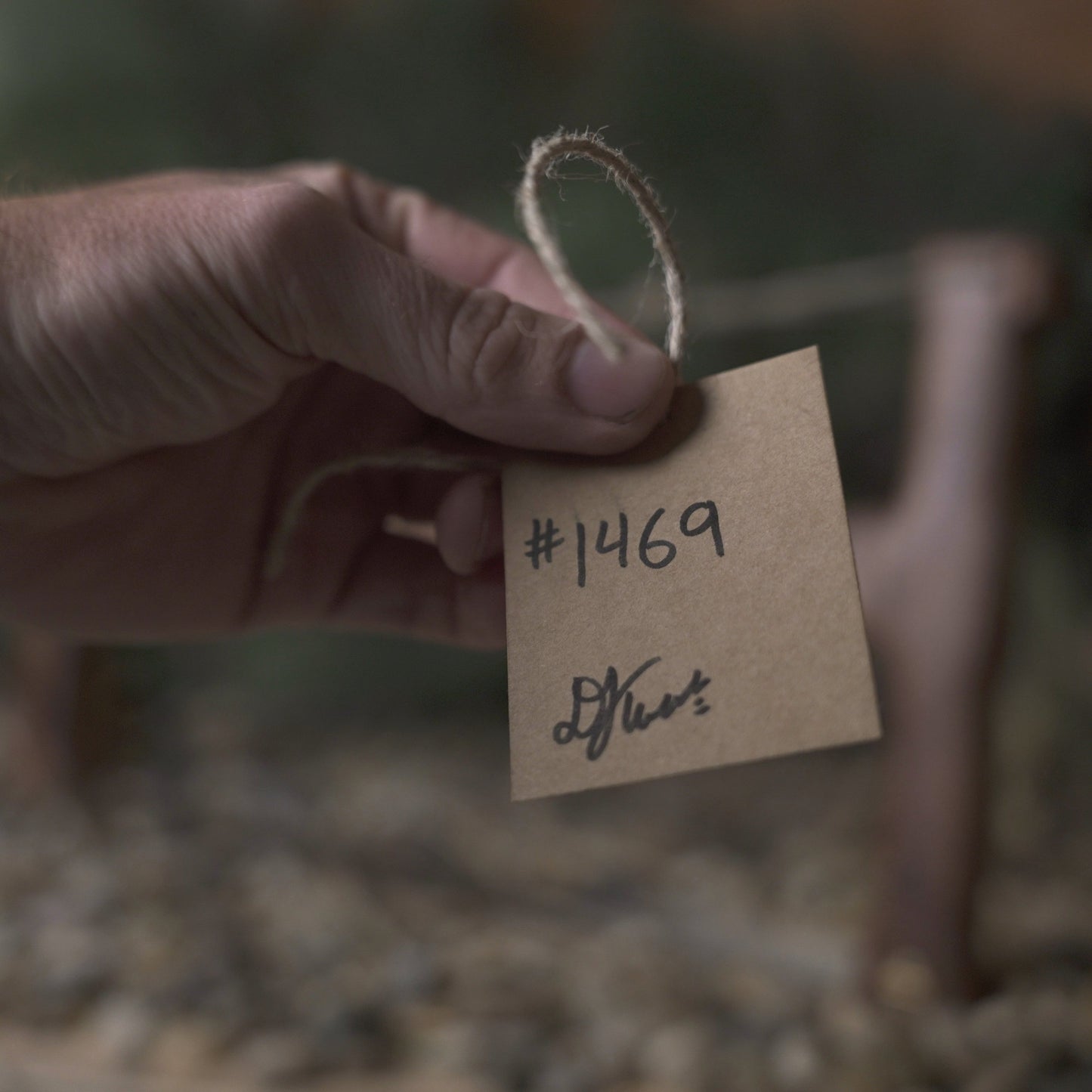 Bucksaw # 1469 - SOLD