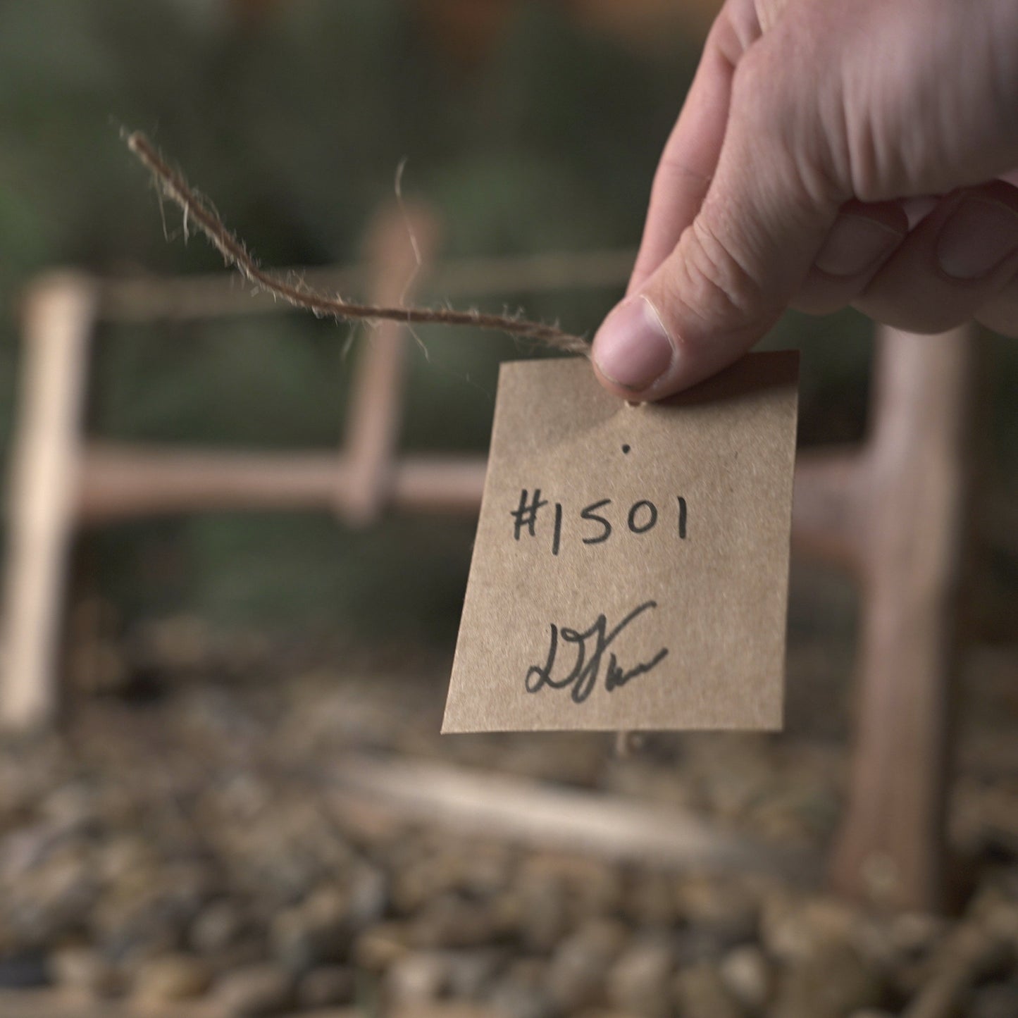 Bucksaw # 1501 - SOLD