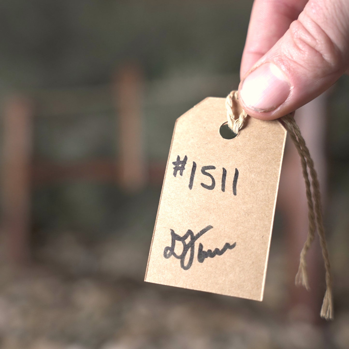 Bucksaw # 1511 - SOLD