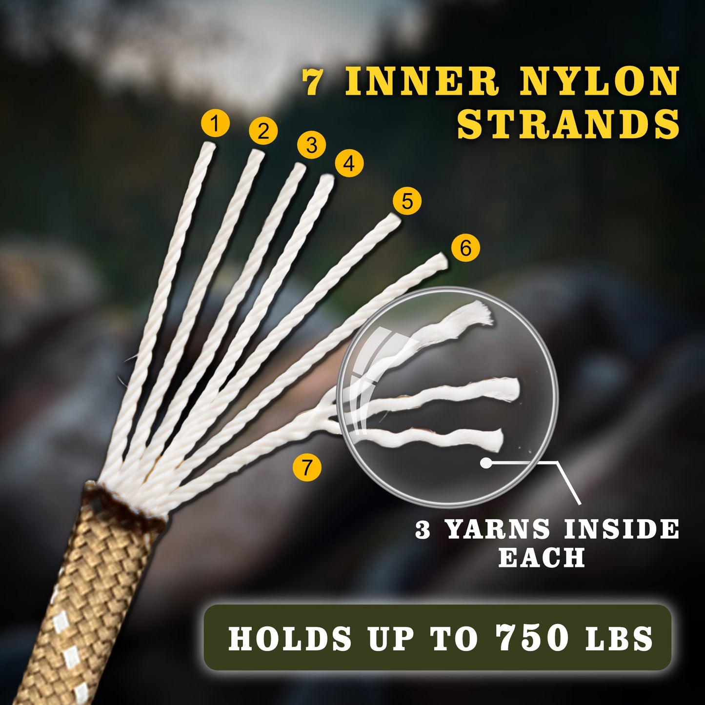 Clearance: Bear Essentials Premium Bushcraft Paracord - (25FT) Extra High Strength - 750lbs - The Bear Essentials Outdoors Co., , ,