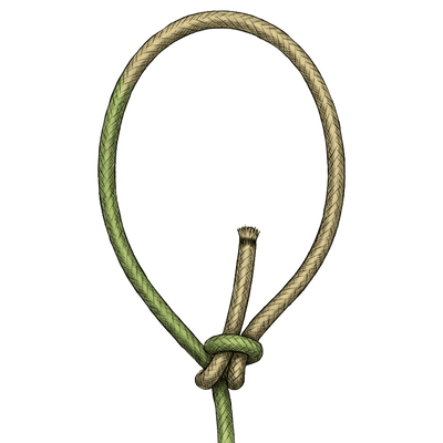 knot sample image