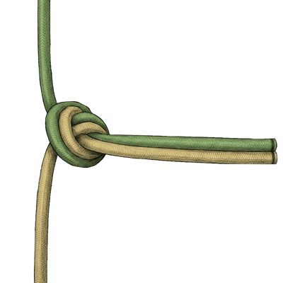 knot sample image
