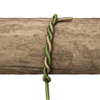 knot sample image