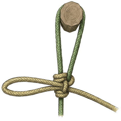 knot sample image