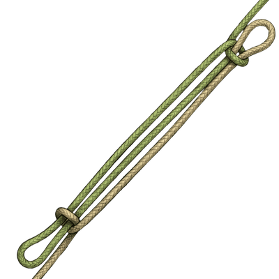 knot sample image