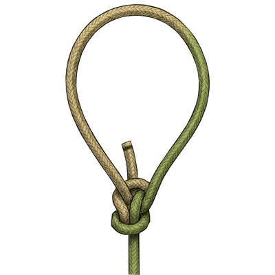 knot sample image