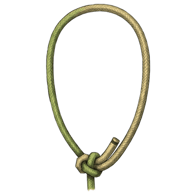 knot sample image