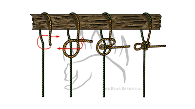 knot sample image