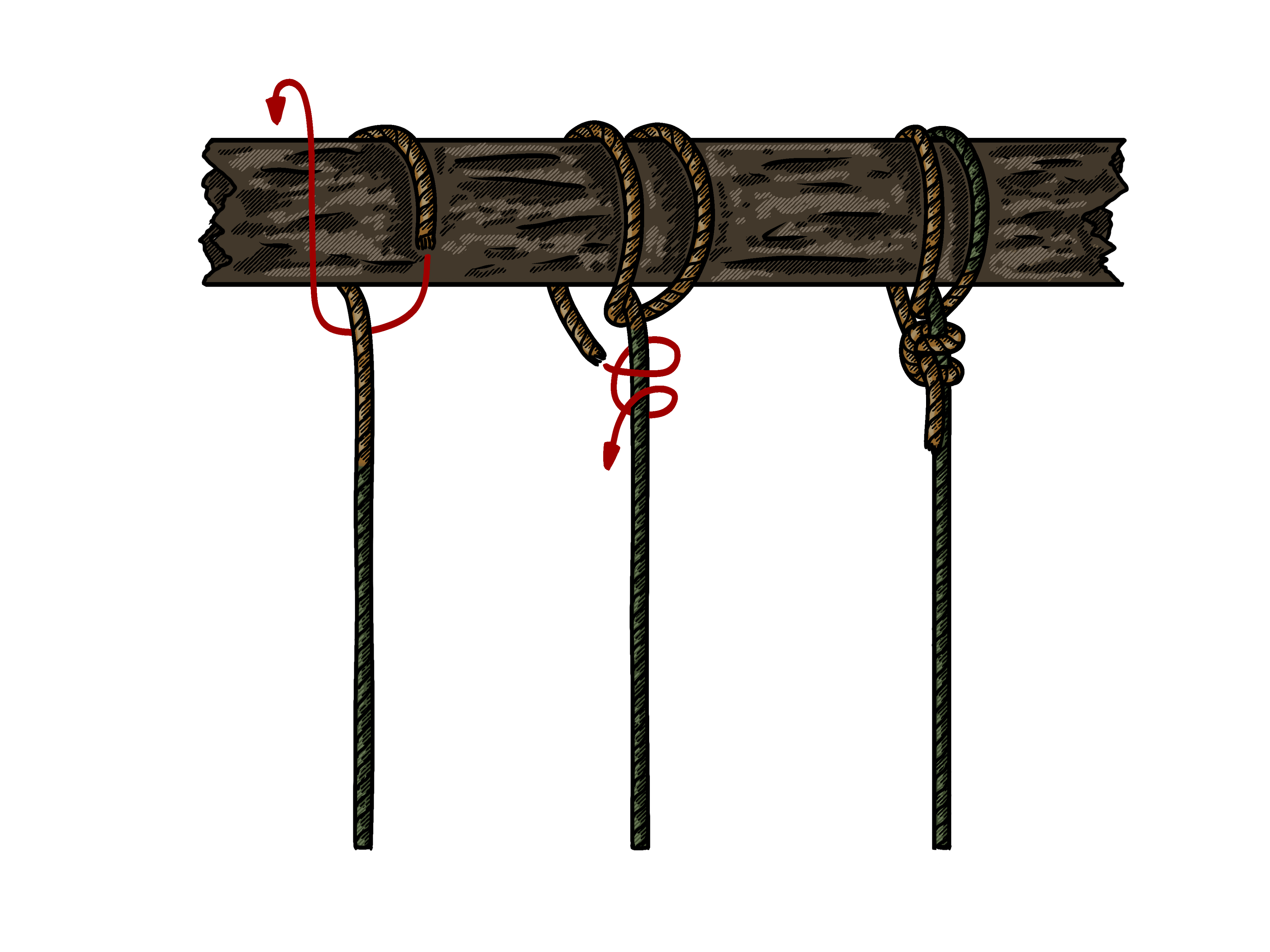 Step-by-step guide showing how to tie the Backhanded Hitch knot.