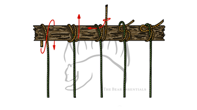 knot sample image
