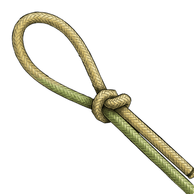 knot sample image