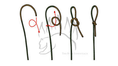knot sample image
