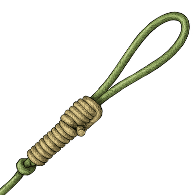 knot sample image