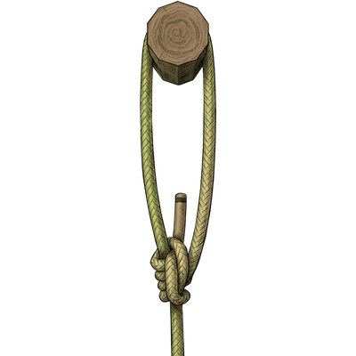 knot sample image