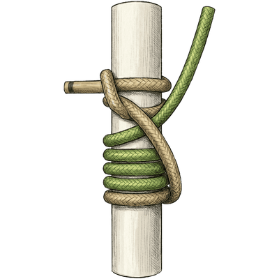 knot sample image