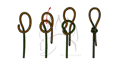 knot sample image