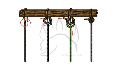 knot sample image