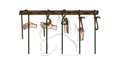 knot sample image