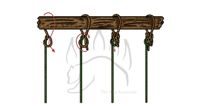 knot sample image