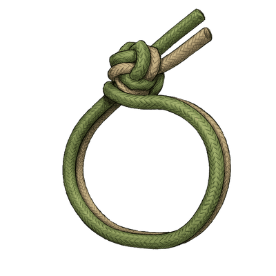 knot sample image