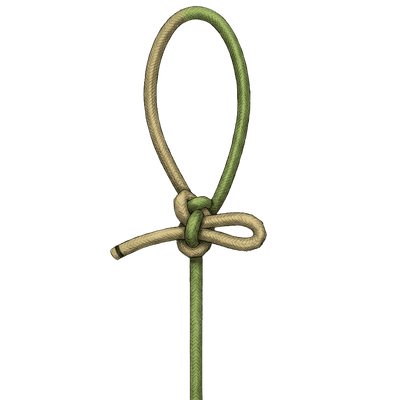 knot sample image