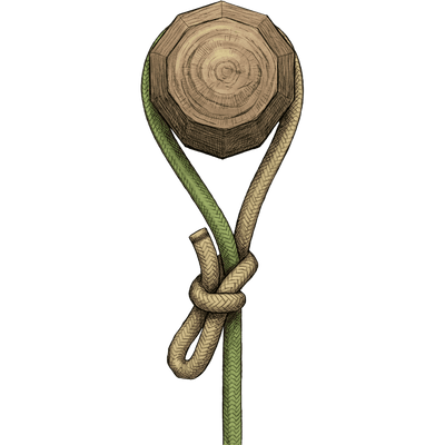 knot sample image