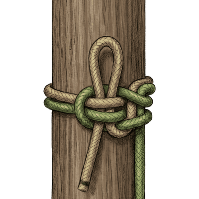 knot sample image