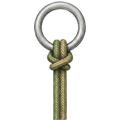 knot sample image