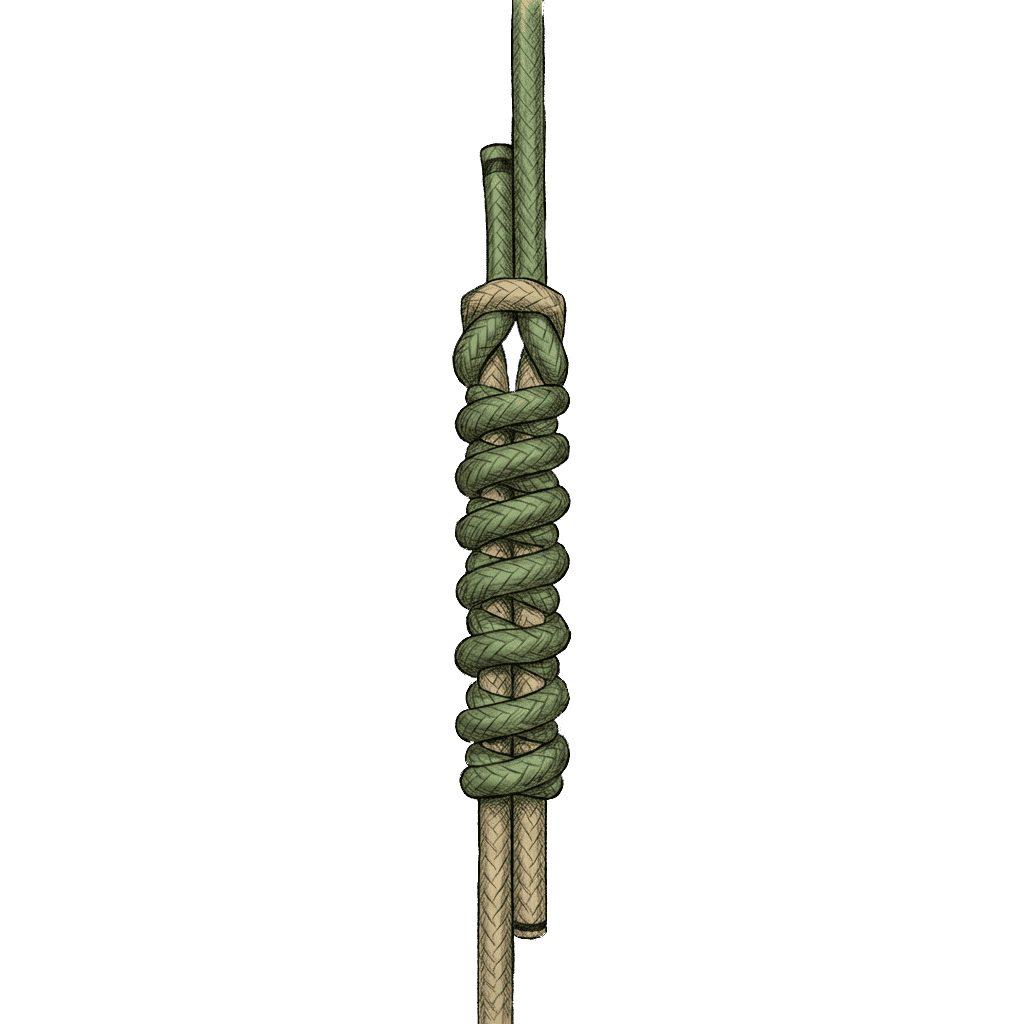 Illustration of the completed Alberto Knot, a fishing bend that joins braided line to a mono or fluorocarbon leader.