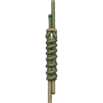 knot sample image