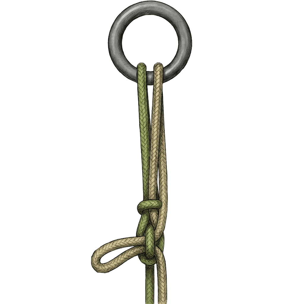 Illustration of the completed Exploding Sheepshank Hitch, rigged through a metal ring, with a slipped bight left in the working end for quick release.