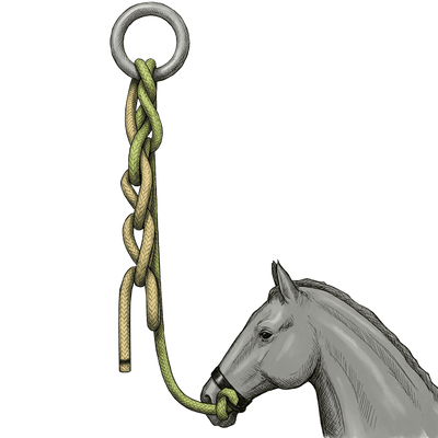 knot sample image