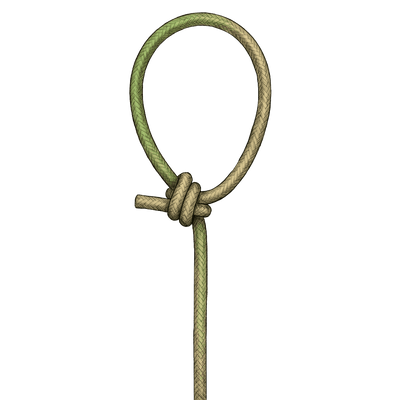 knot sample image