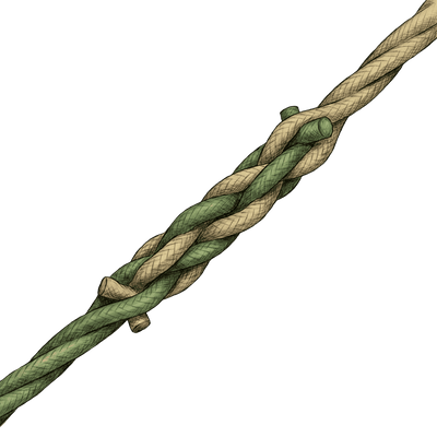 knot sample image