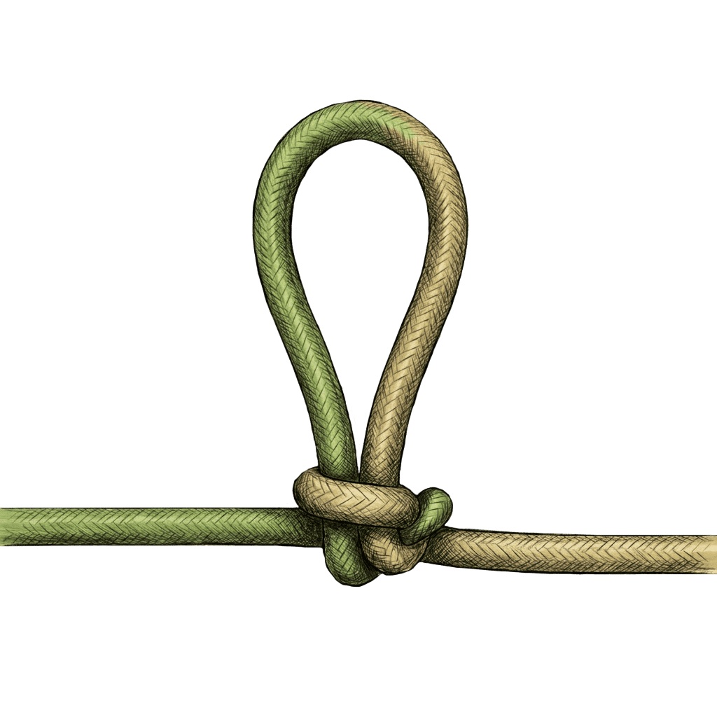 Illustration of the completed Angler's Loop on a Bight, a fixed loop tied mid-line from a folded bight without using either rope end.