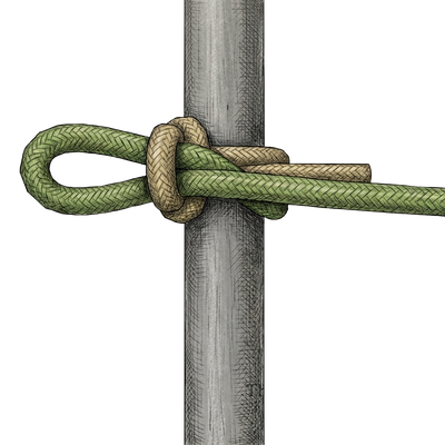 knot sample image
