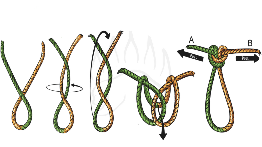 A series of illustration on how to tie the Alpine Butterfly Knot