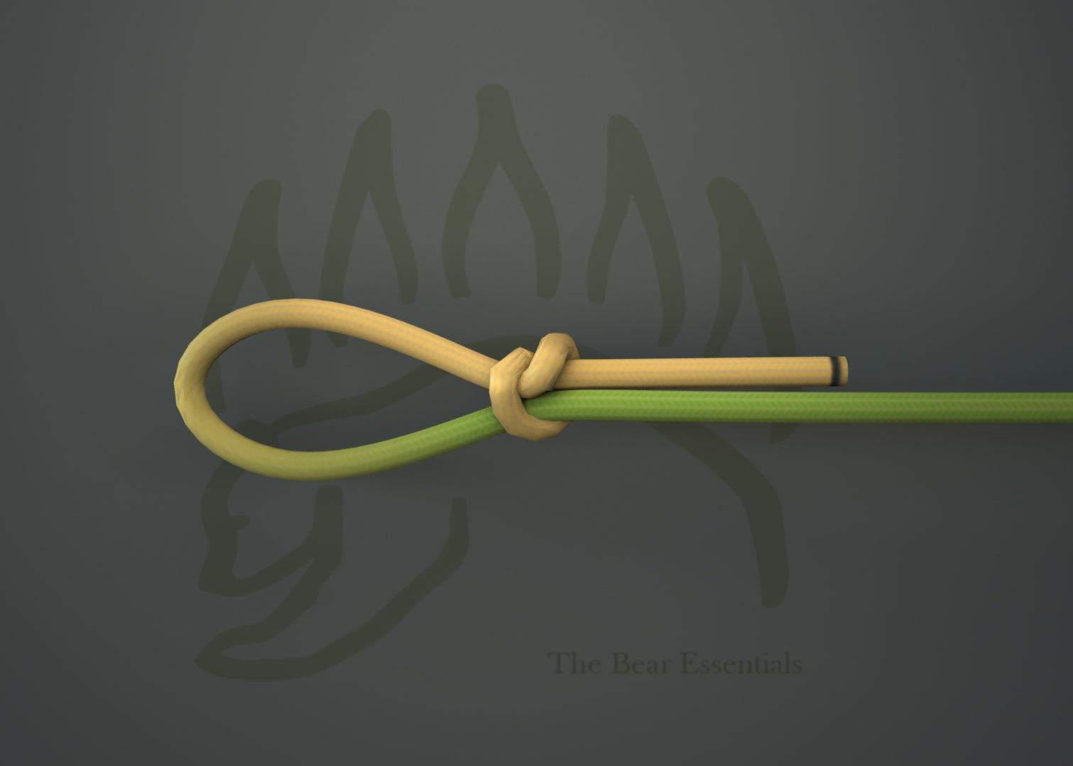 Simple noose knot tied with yellow and green rope on dark background.