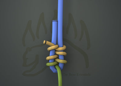 knot sample image