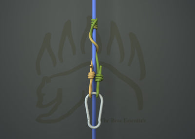 knot sample image