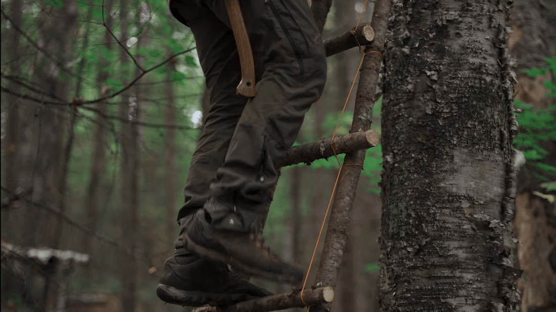 How to Build a Bushcraft Ladder for Successful Chaga Harvesting - The Bear Essentials Outdoors Co.