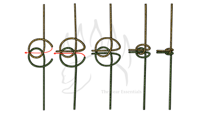 knot sample image