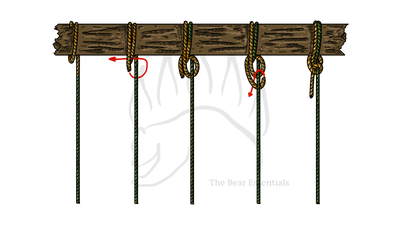knot sample image
