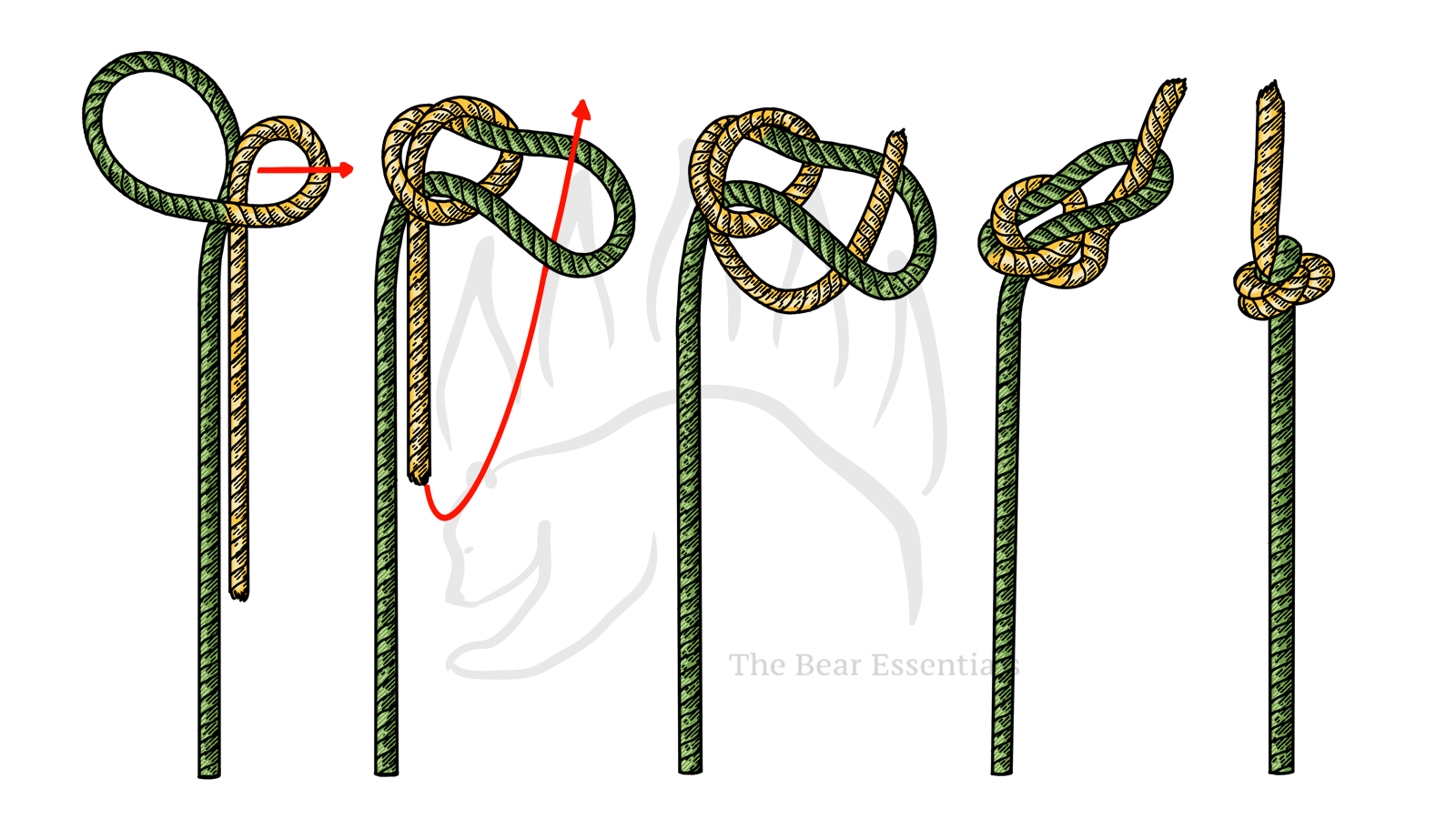 Step-by-step guide to tying the Ashley Stopper Knot with rope illustrations.