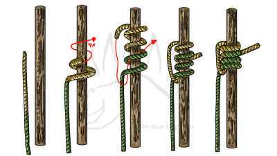 knot sample image